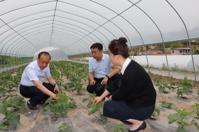 黨建引領(lǐng)促發(fā)展 技術(shù)扶貧暖人心——蘭州高新區(qū)“兩新”組織黨委攜手愛心企業(yè)開展“支部結(jié)對共建、助力脫貧攻堅(jiān)”主題黨日活動(dòng)側(cè)記