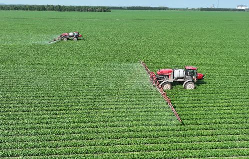 北大荒集團(tuán)北安分公司 以定制農(nóng)業(yè)與種植技術(shù)開發(fā)，繪就高質(zhì)量發(fā)展新圖景