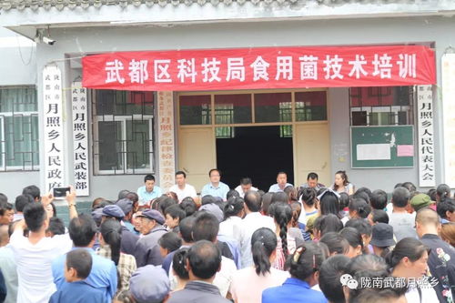 科技賦能農(nóng)業(yè)，武都區(qū)科技局在月照鄉(xiāng)舉辦食用菌栽培技術(shù)培訓(xùn)會(huì)助力鄉(xiāng)村振興