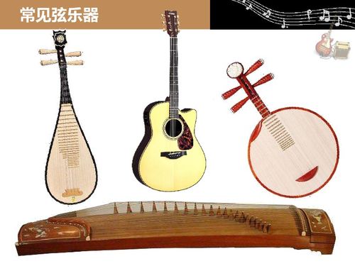 粵教版四年級上冊科學 設計與制作我們的小樂器