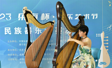 河北肅寧 民族樂器愛好者展才藝，古韻新聲奏響鄉村振興曲